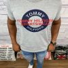 Camiseta Tommy Cinza-0